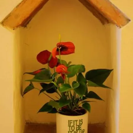 Gasthof Casa Corsi 2*