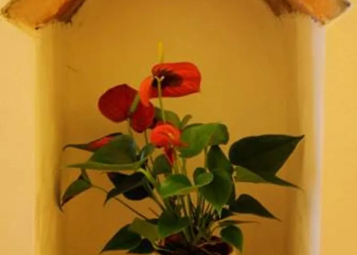 Gasthof Casa Corsi 2*