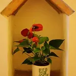 Guest house Casa Corsi 2*