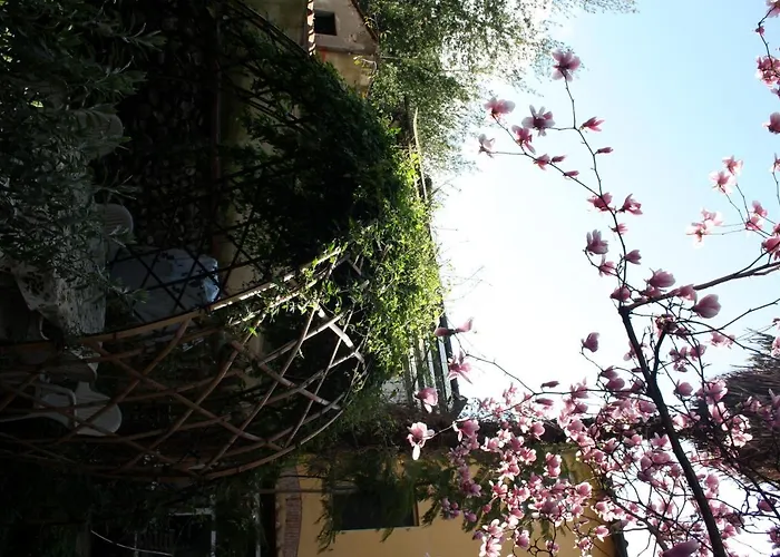 Casa Corsi 피렌체